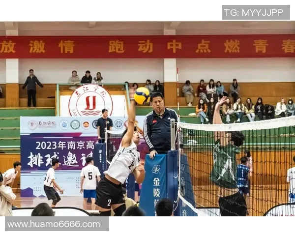 深圳排球队逆袭之旅的奋斗与荣耀记录 深圳排球队逆袭之旅的奋斗与荣耀记录