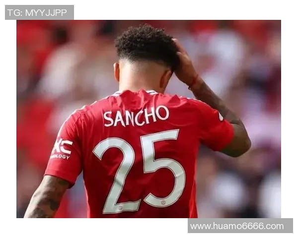 英超网球见证杭州网球队崛起之路与成长历程的真实纪实