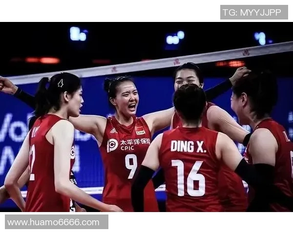 深圳排球队状态引发热议球迷对球队表现分歧明显